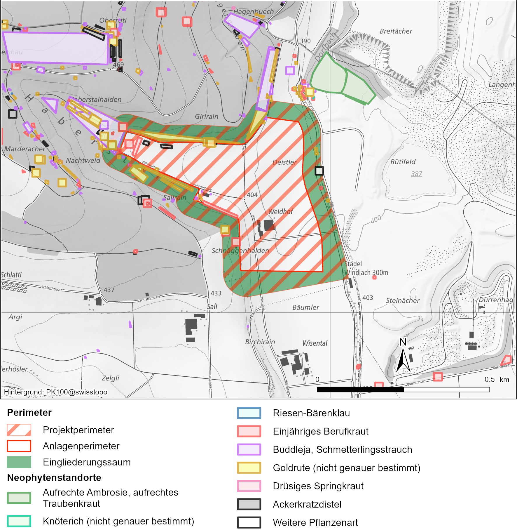 Vorkommen von invasiven Neophyten und landwirtschaftliche Problempflanzen im und um den Projektperimeter im Haberstal (GIS-ZH 2024)