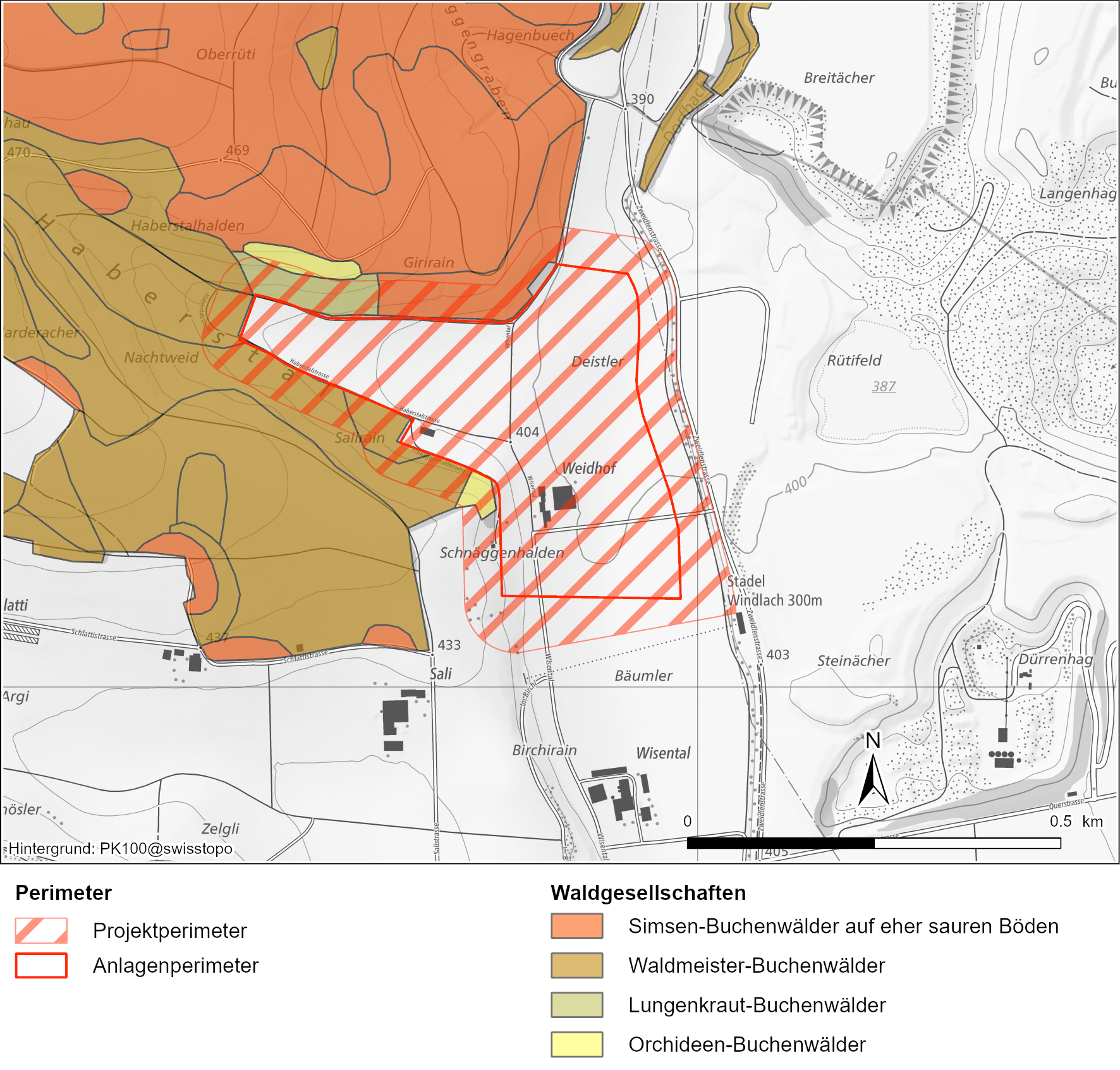 Vegetationskundliche Kartierung der Wälder im Kanton Zürich (Waldvegetations¬karte, GIS-ZH 2024)