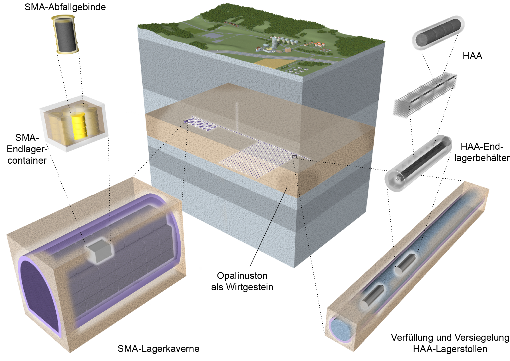 Mehrfachbarrierensystem Gemäss Nagra (Nagra 2021b) Dargestellt für HAA (rechts) am Beispiel von abge¬brannten Brennelementen (BE) mit Brenn¬stäben (UO2-Pellets mit Hüllrohren), welche in HAA-Endlagerbehälter aus Stahl verpackt werden. Die HAA-Endlagerbehälter werden in einen HAA-Lagerstollen eingelagert, und dieser wird anschliessend verfüllt (beispielhaft mit Bentonit) und versiegelt. Dargestellt für SMA (links) am Beispiel eines typischen SMA-Abfallgebindetyps (200-l-Fass), welcher in SMA-Endlagercontainer verpackt und in eine beispielhaft mit zement-basiertem Referenzmörtel hinterfüllte SMA-Lagerkaverne eingelagert wird. Sowohl für HAA als auch SMA stellt Opalinuston als Wirtgestein die natürliche Barriere dar.