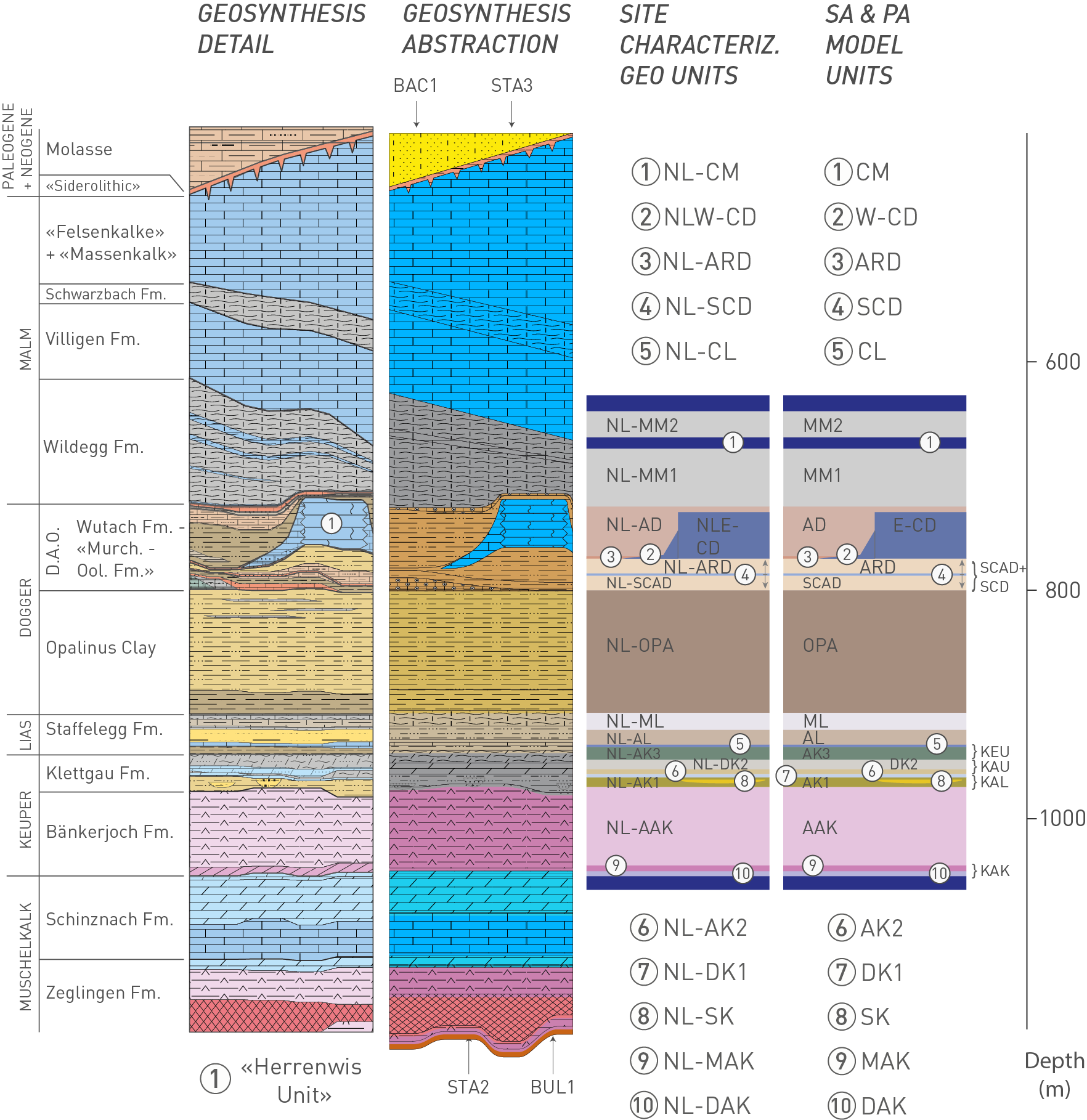 Abstraction of the sedimentary Mesozoic sequence at the site into units of compa­rable transport parameters  The abstraction results in the generation of the local “layer-cake” model units for perfor­mance assessment and for the analysis of radiological consequences (“SA & PA model units”).