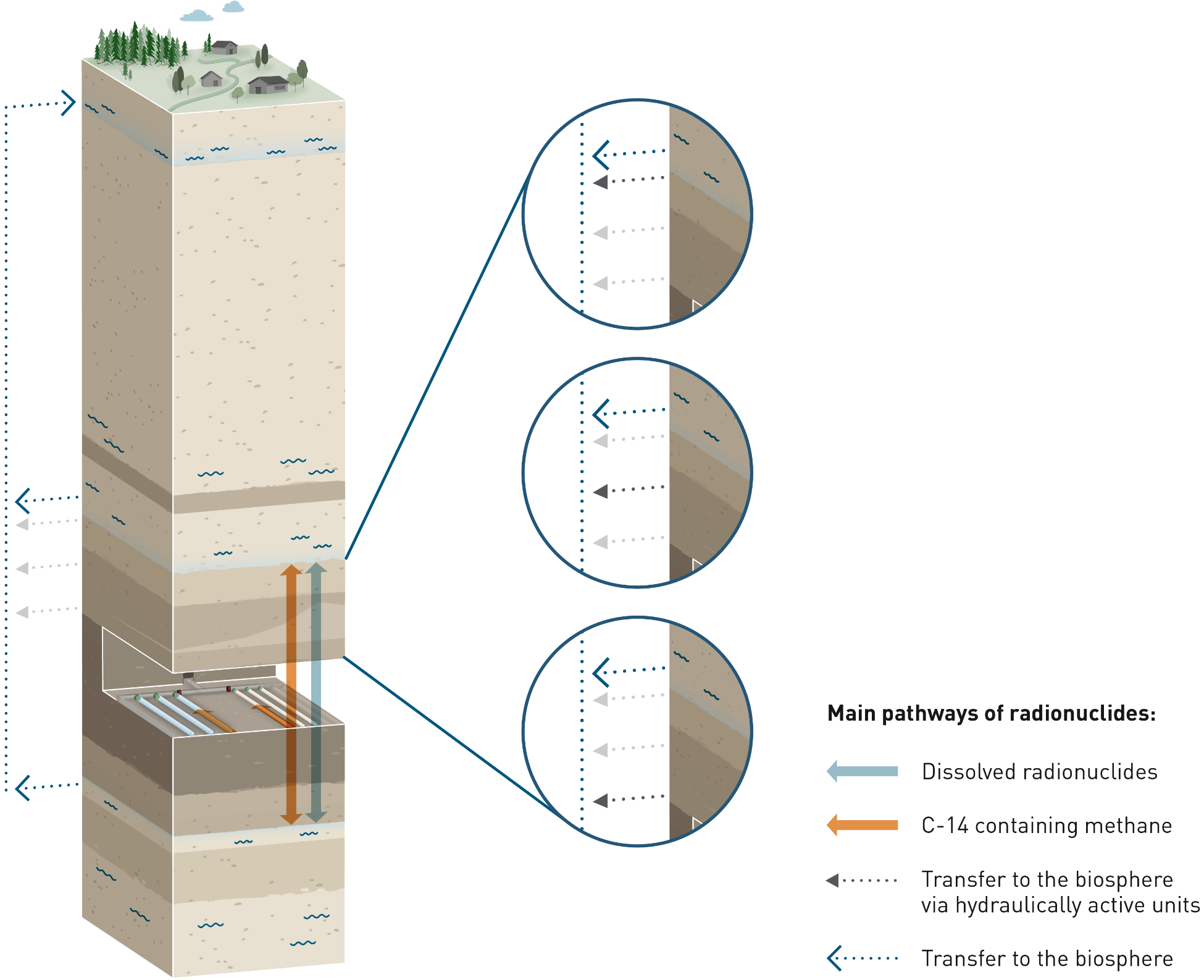 Main pathways for radionuclide transport where it is assumed that one of the confining geological units above or below the Opalinus Clay is hydraulically active and connected to the regional aquifer and thus provides an additional pathway for the advective transport of radionuclides to the biosphere