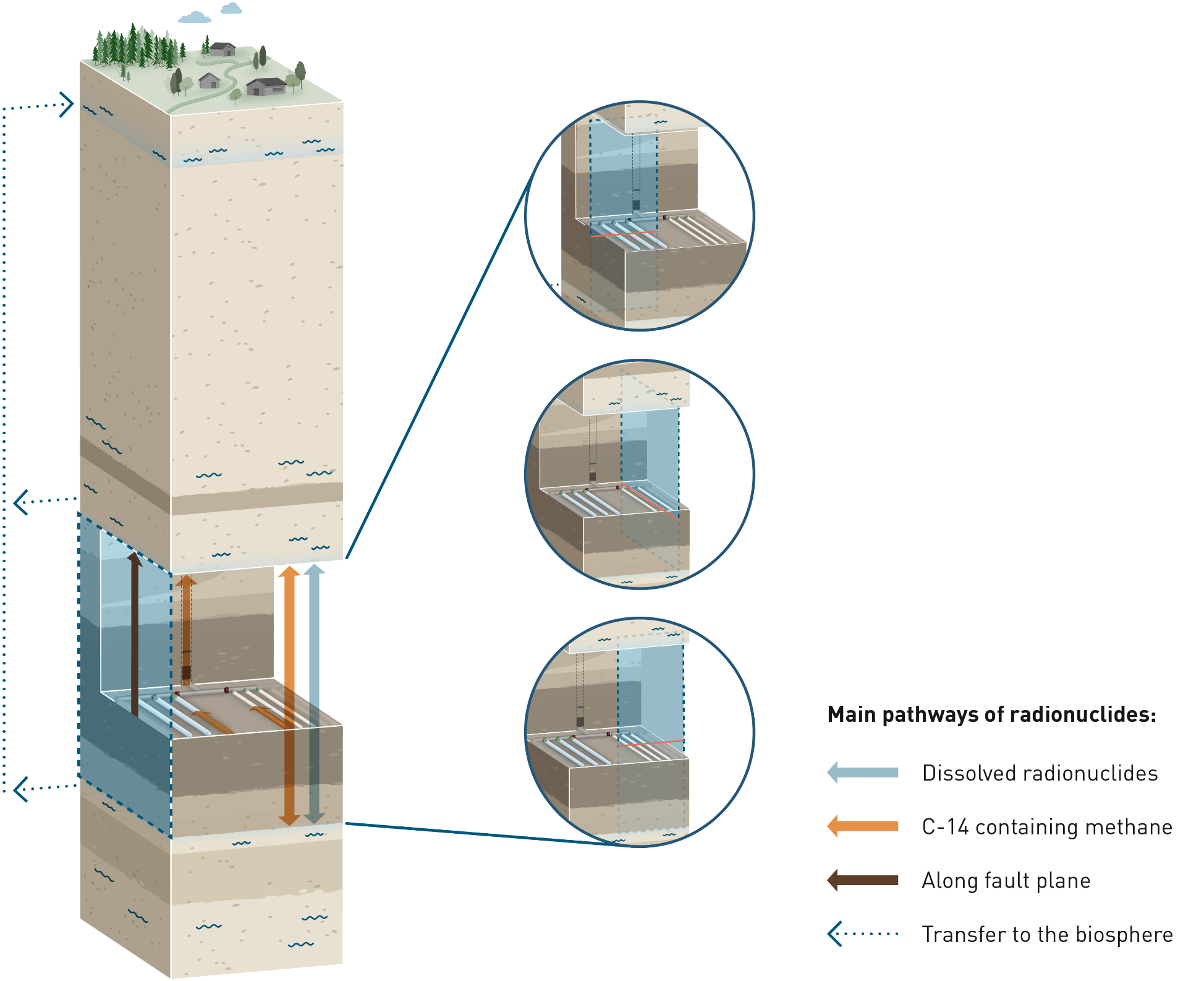 Pathways for radionuclide transport where the existence of an undetected fault is assumed, which intersects one or more L/ILW emplacement caverns or HLW emplacement drifts  The small inset figures show different ways in which the fault is conceived to impact these repository features in the modelling carried out for the calculation of radiological conse­quences.