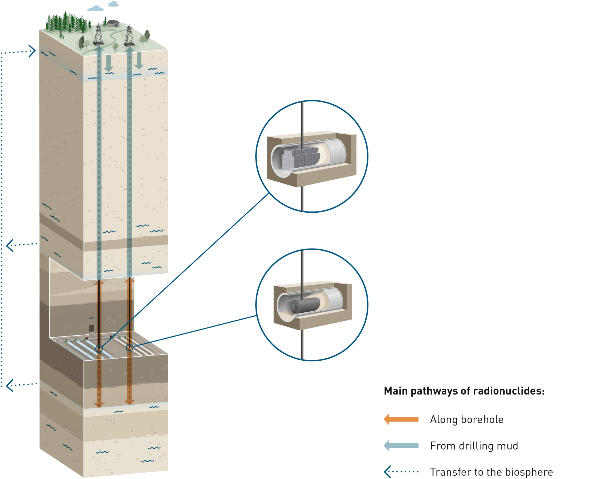 	Pathways for radionuclide transport along boreholes in the FHA-1 safety scenario