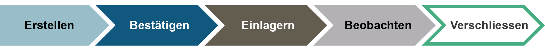 Abfolge der fünf wesentlichen Tätigkeiten zur Realisierung der Gesamtanlage des geologischen Tiefenlagers Die Erläuterung der Tätigkeiten erfolgt in Kapitel 4 und 5
