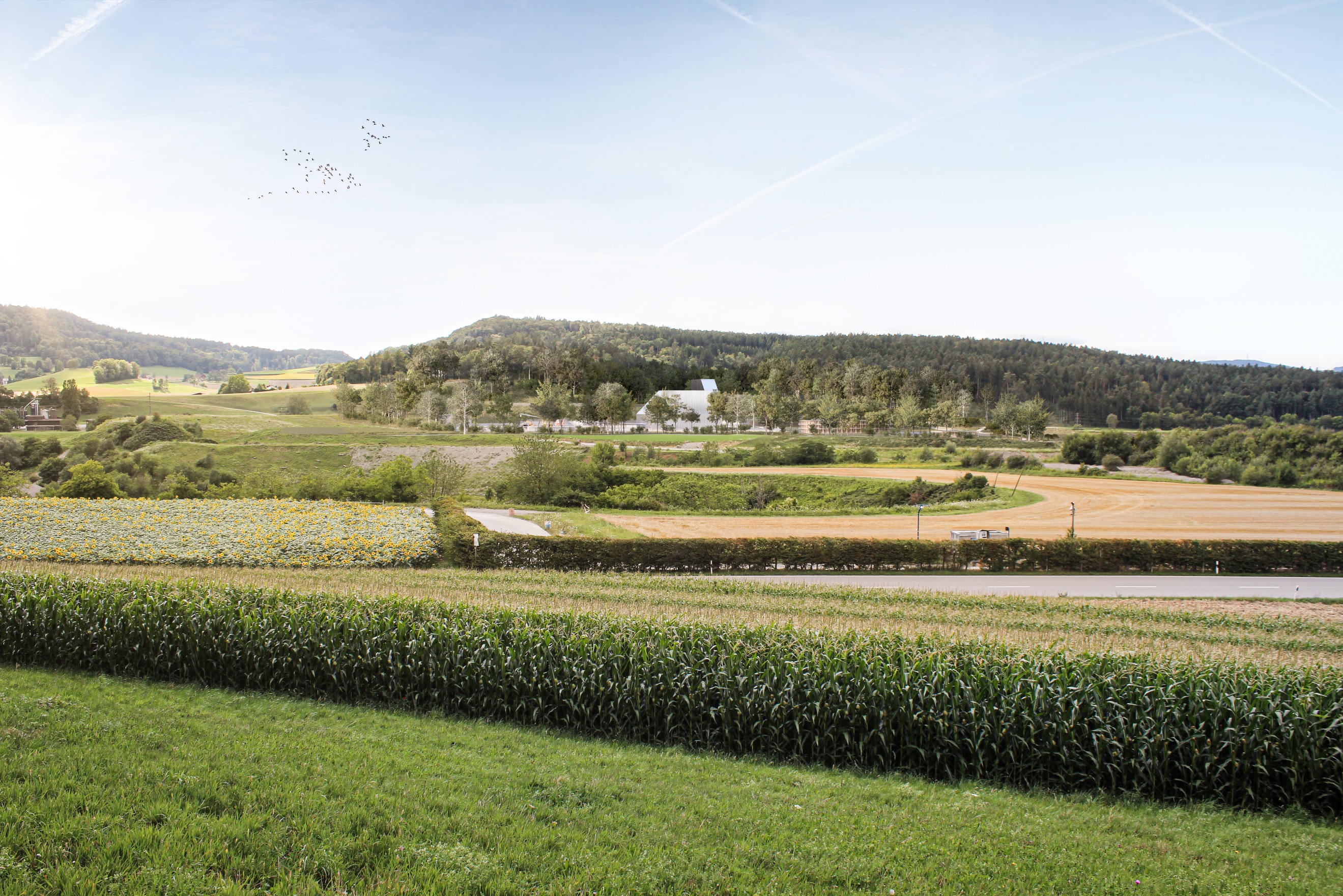 	Visualisierung der Oberflächenanlage, Blick über die Kiesstrasse nach Westen  Die Visualisierung zeigt die OFA zum Zeitpunkt ihrer grössten Ausdehnung.