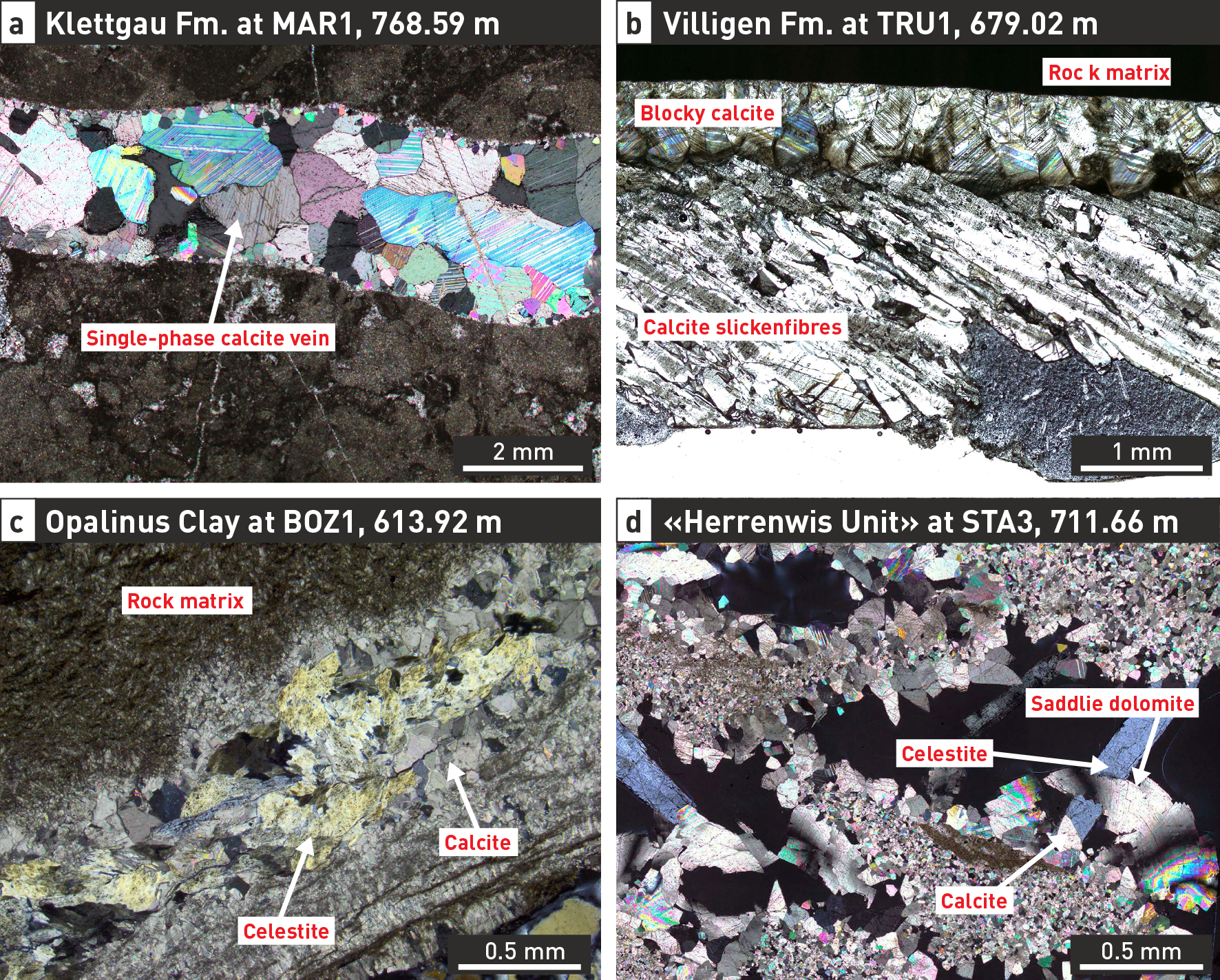 image146.png