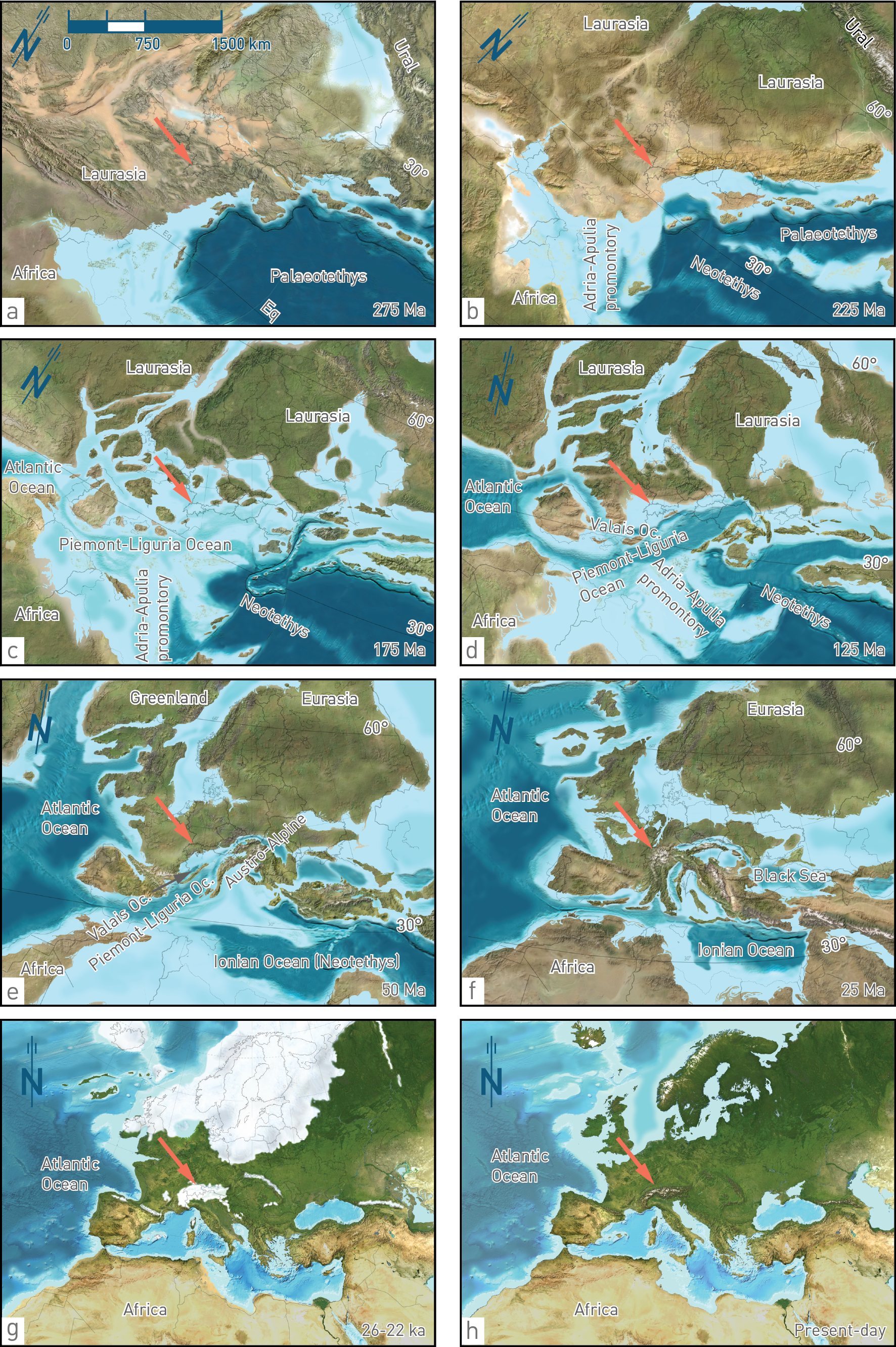 image11.png