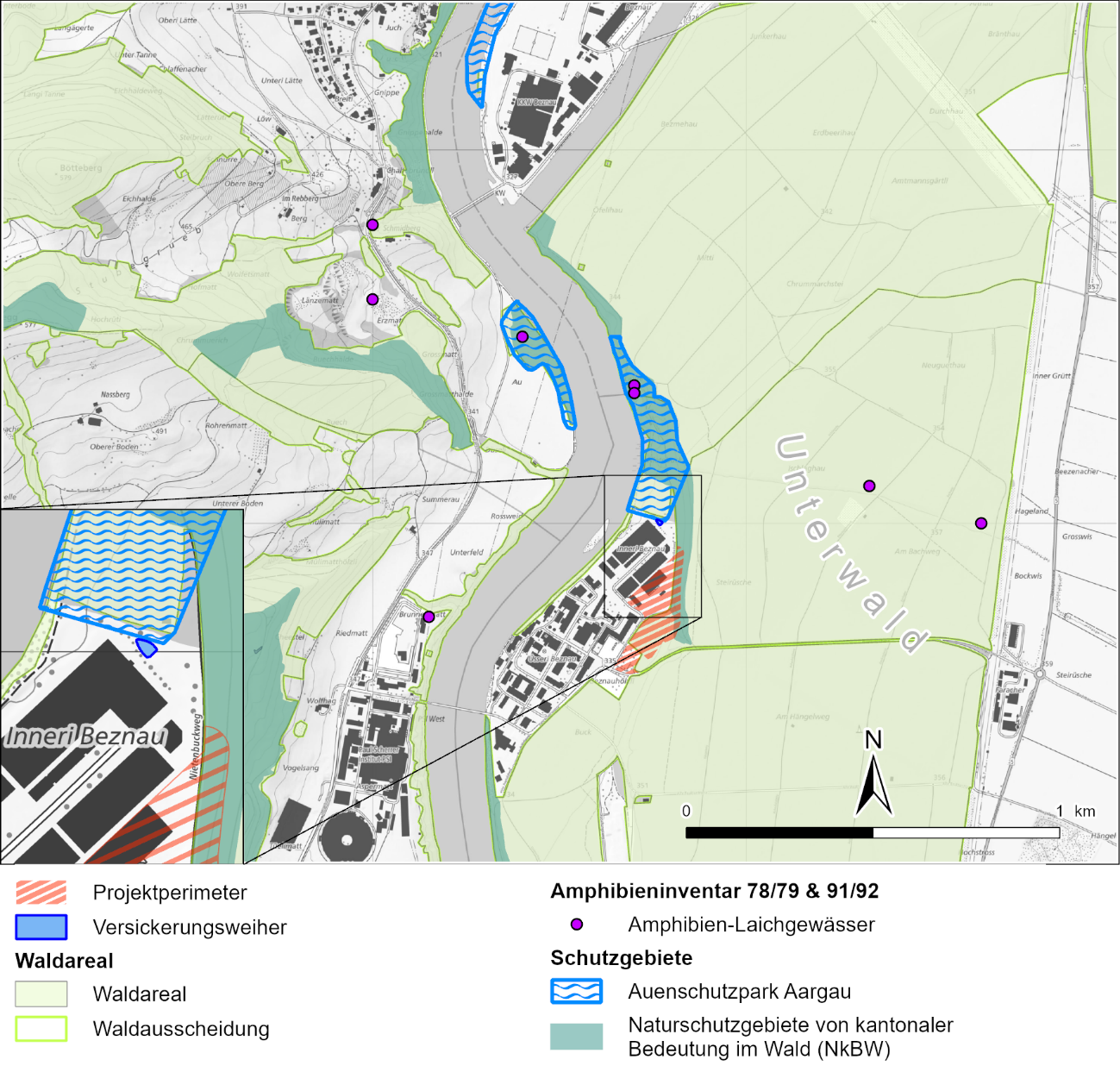 Projektperimeter mit NkBW, Auenschutzpark Aargau und Amphibien-Laich-gewässer der Amphibieninventare 78/79 und 91/92 sowie den rechtlich geltenden (statischen) Waldgrenzen (AGIS 2024)